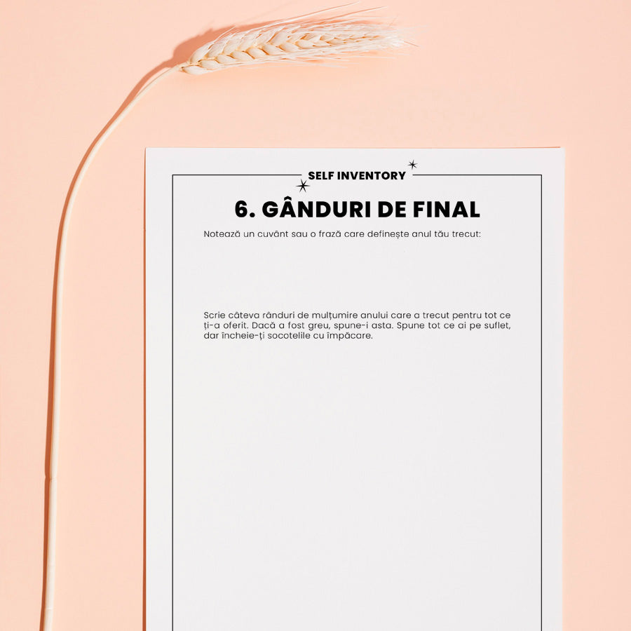 SELF INVENTORY: Anul Meu – Reflecție, Analiză și Planuri, ghid de analiza, bilantul anului meu_lady cozac