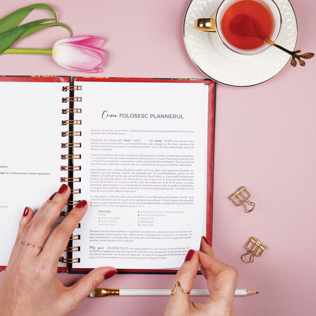 Set pentru organizare în ritmul tău cadou pentru femei interior planner de organizare zilnica metode de stres management Planner anual nedatat pentru organizare și claritate