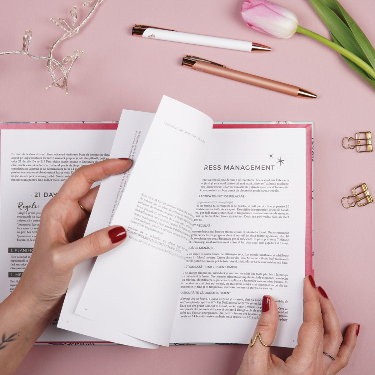 Planner anual nedatat pentru organizare în ritmul tău, format A5, limba romana, cu tabele si strategii de organizare – 365 New Days Set in Stone rasfoit