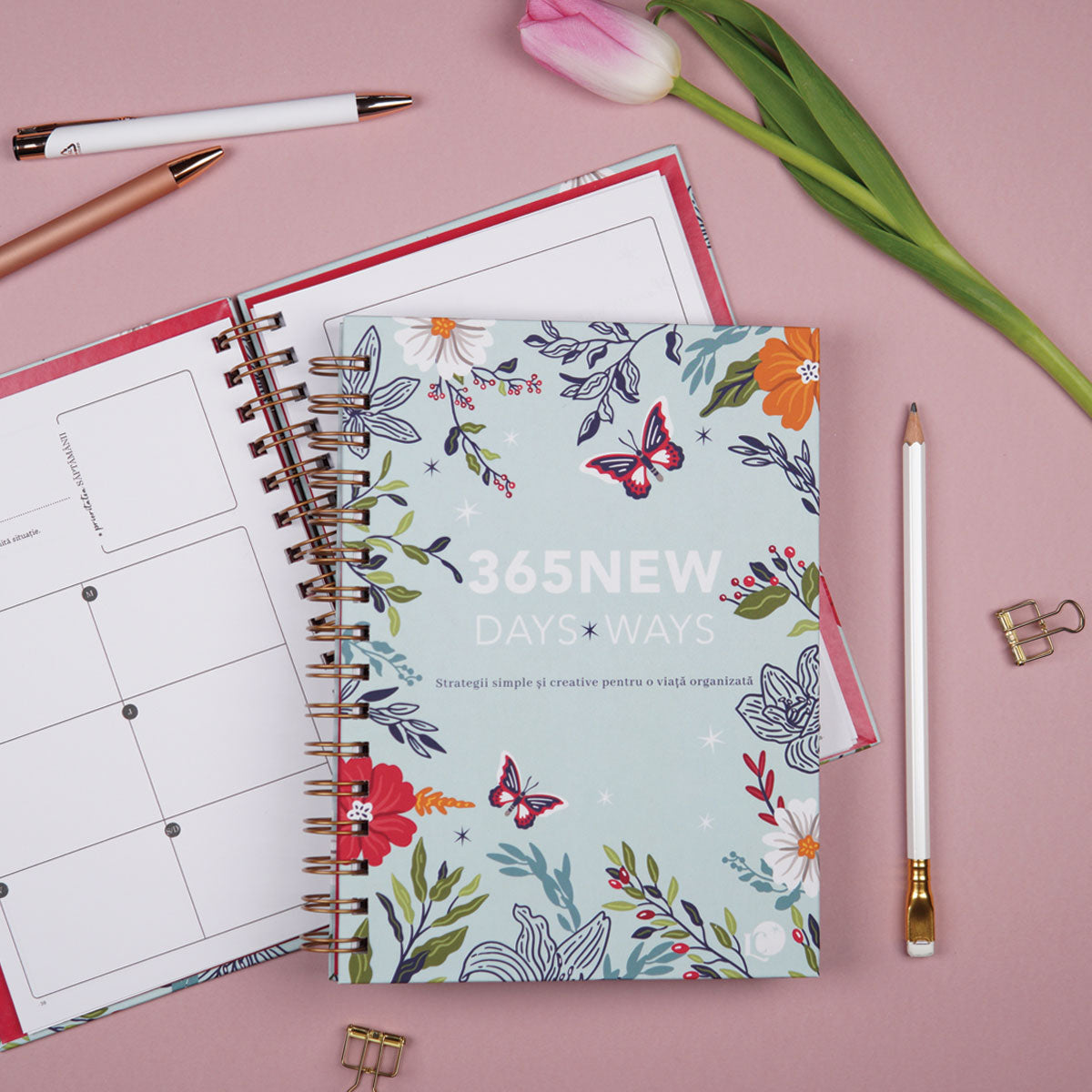 Planner anual nedatat pentru organizare în ritmul tău, format A5, limba romana, cu tabele si strategii de organizare – 365 New Days Set in Stone coperta deschisa