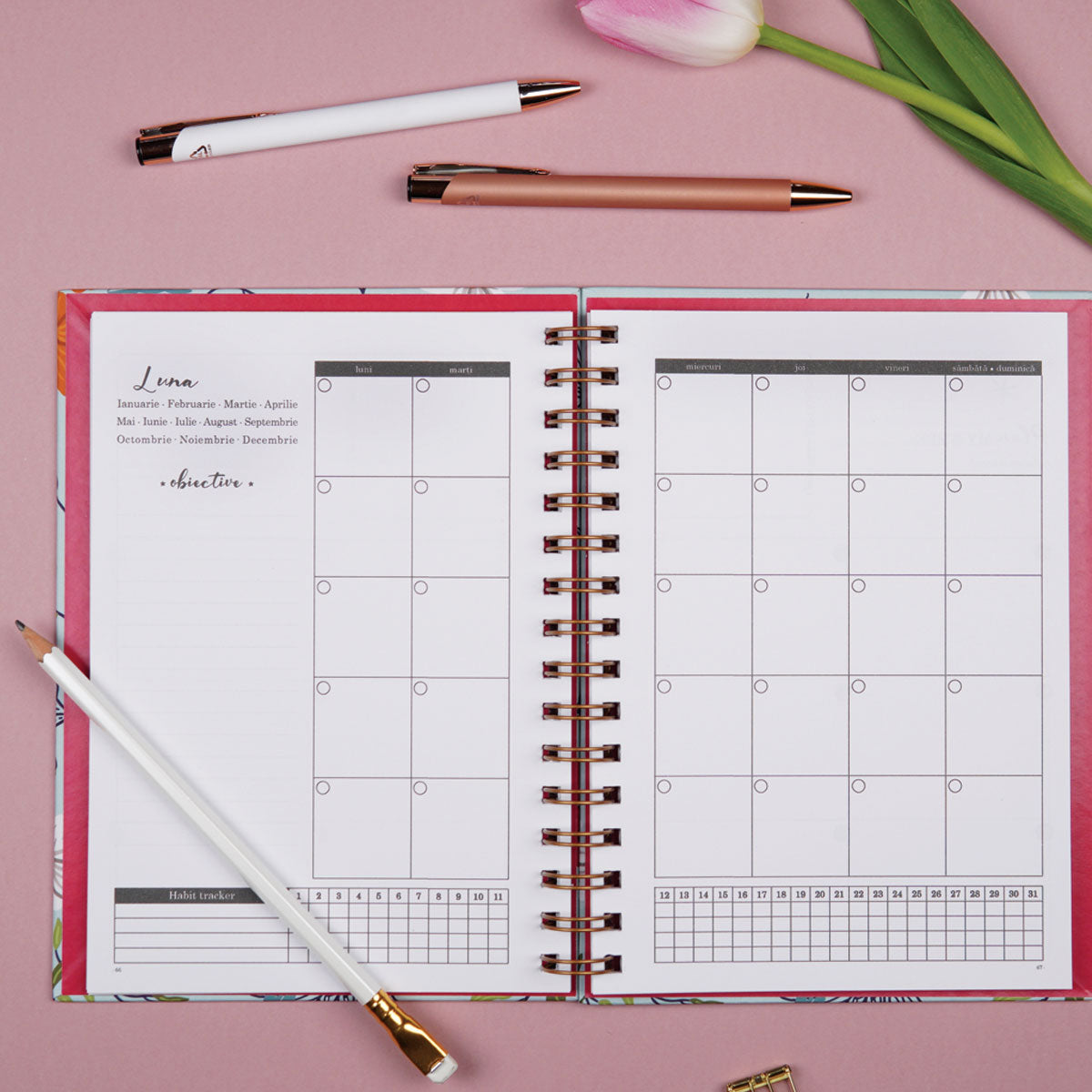Planner anual nedatat pentru organizare în ritmul tău, format A5, limba romana, cu tabele si strategii de organizare – 365 New Days Set in Stone organizarea lunii