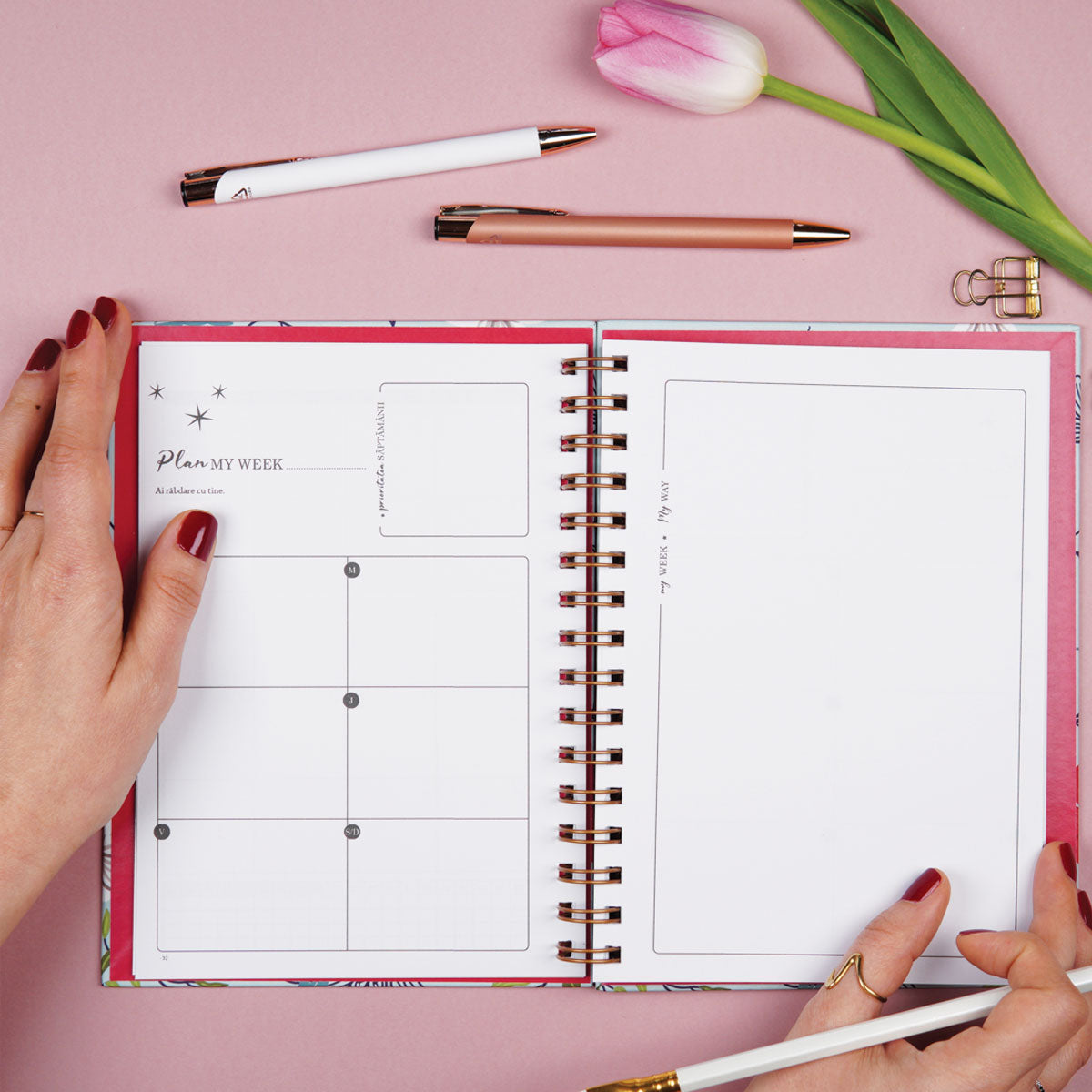 Planner anual nedatat pentru organizare în ritmul tău, format A5, limba romana, cu tabele si strategii de organizare – 365 New Days Set in Stone organziarea saptamanii