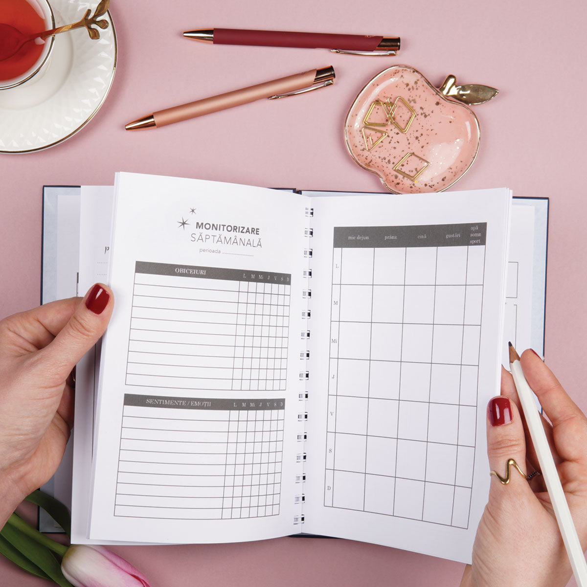 Planner zilnic pentru claritate și direcție pagini interior mobitorizare saptamanala
