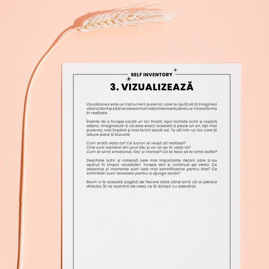 exercitii de vizualizare_SELF INVENTORY: Anul Meu – Reflecție, Analiză și Planuri, ghid de analiza, bilantul anului meu_lady cozac