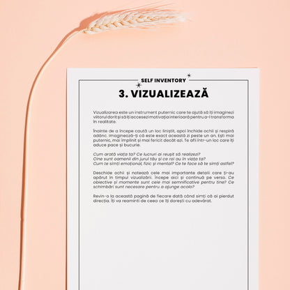 exercitii de vizualizare_SELF INVENTORY: Anul Meu – Reflecție, Analiză și Planuri, ghid de analiza, bilantul anului meu_lady cozac