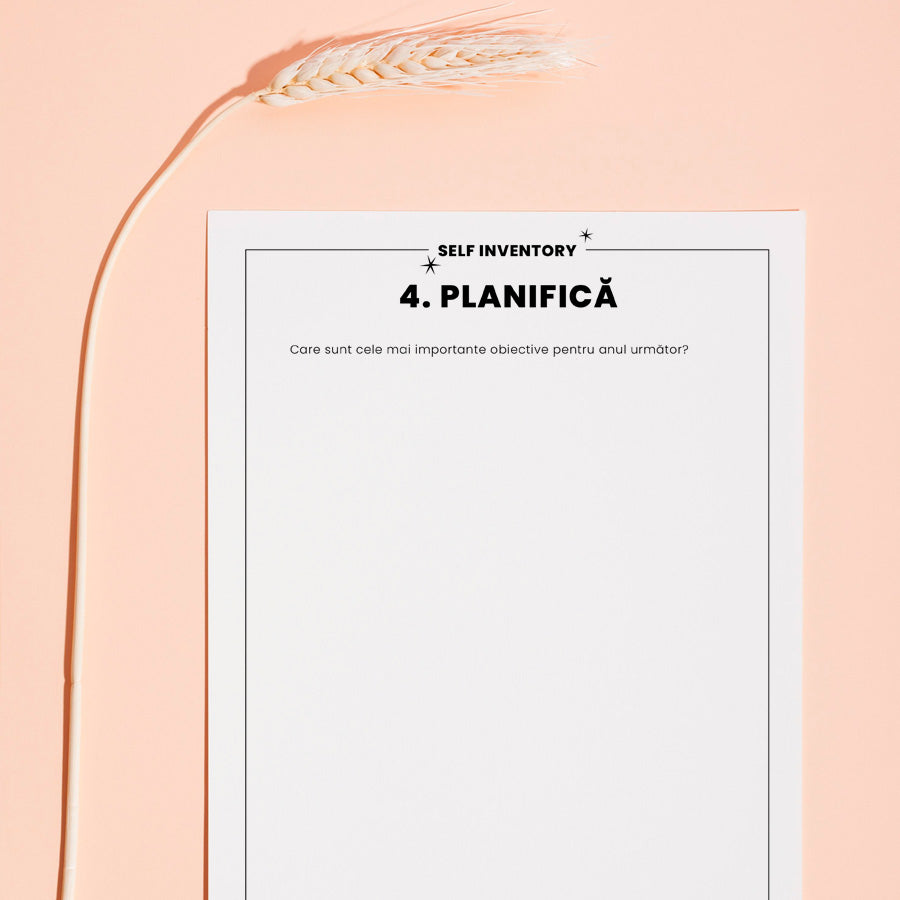 planifica-ti anul_SELF INVENTORY: Anul Meu – Reflecție, Analiză și Planuri, ghid de analiza, bilantul anului meu_lady cozac